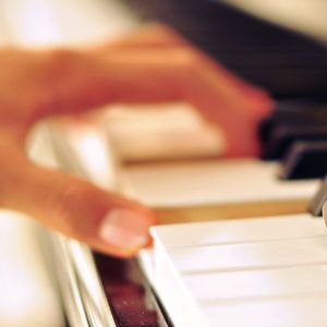 911柚子猫盛世容颜小僵尸
