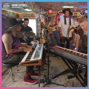 911柚子猫盛世容颜小僵尸
