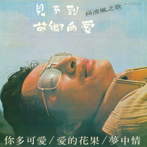 911柚子猫盛世容颜小僵尸
