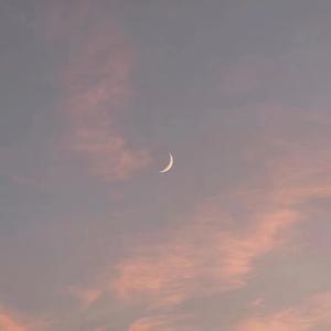 911柚子猫盛世容颜小僵尸
