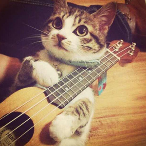 911柚子猫盛世容颜小僵尸
